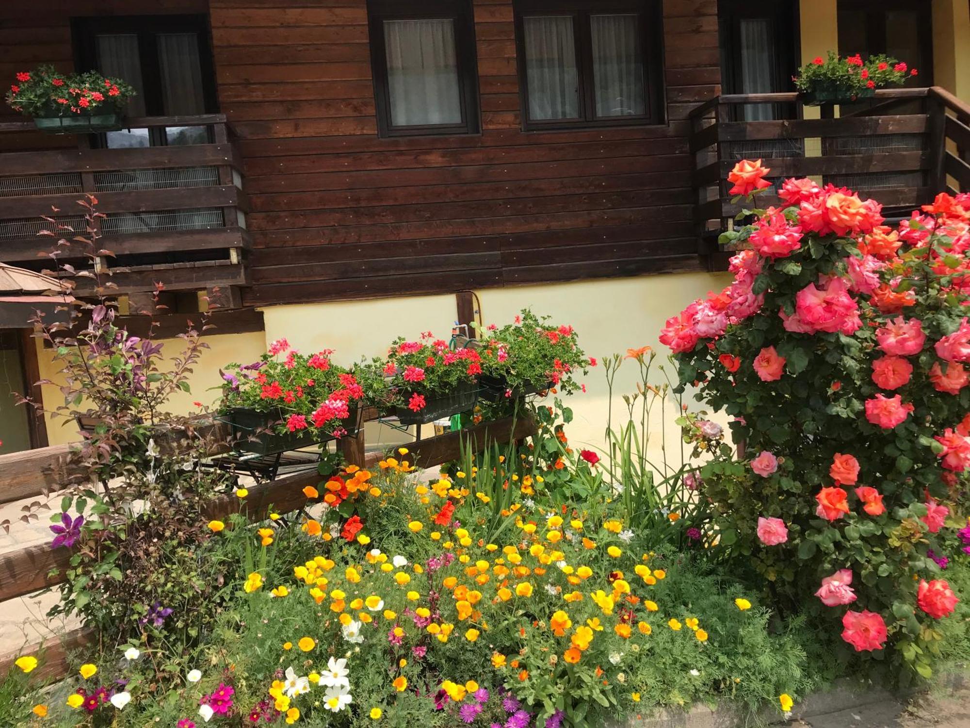 Hotel Ca Fiore Bardonecchia Buitenkant foto
